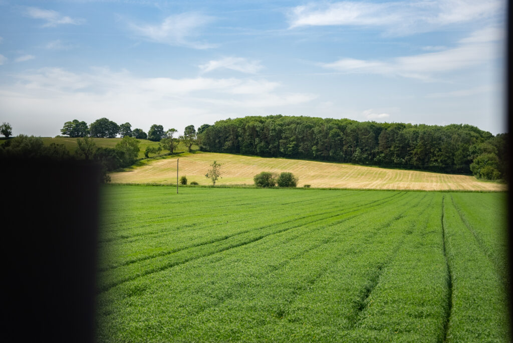 Farmland views