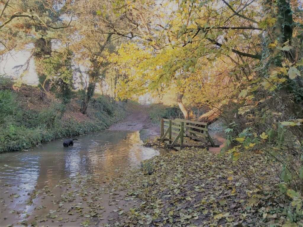 The beck at Thorpe Bassett in Autumn